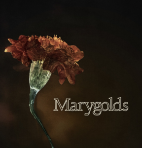 Marygolds